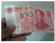 為什么不買保險(xiǎn)就不讓養(yǎng)狗？